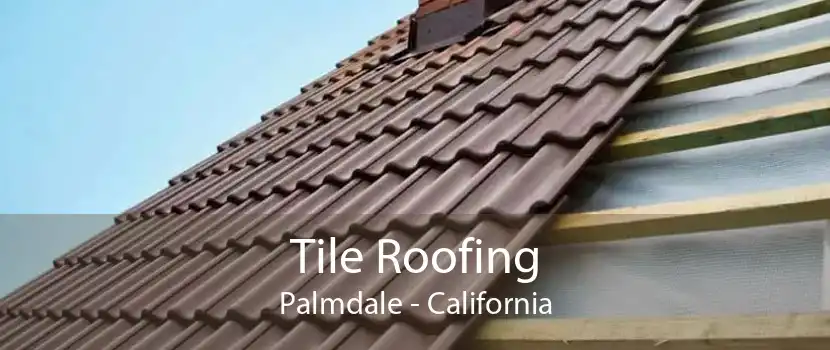 Tile Roofing Palmdale - California