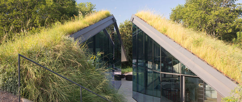 Residential Green Roof Palmdale